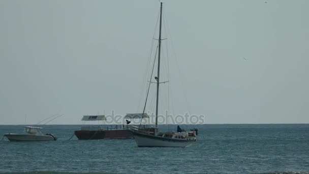 Σαν Χουάν ντελ Σουρ — Αρχείο Βίντεο