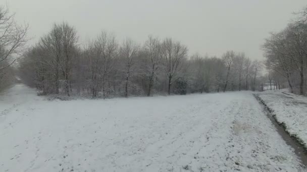 Holenderski zimowy krajobraz — Wideo stockowe
