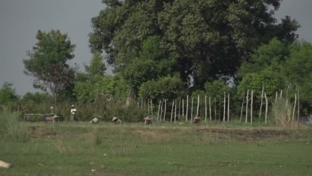 Zemědělci pracují na pozemku u řeky — Stock video