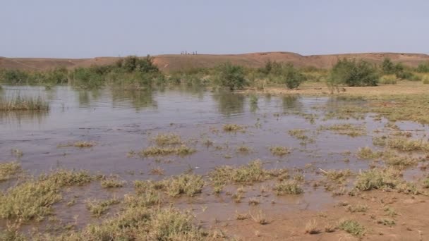 Mansor Dahbi lake — Stock video