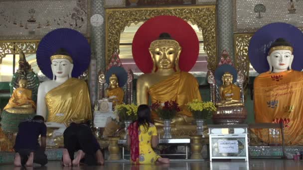 Люди моляться до статуї Будди — стокове відео