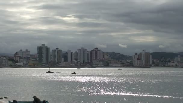 Filmación Florianopolis Horizonte Avenida Beira Mar — Vídeos de Stock