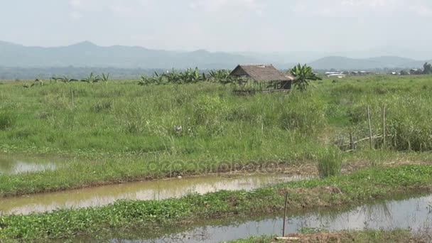 Nyaung Shwe Nehri üzerinde sürme — Stok video