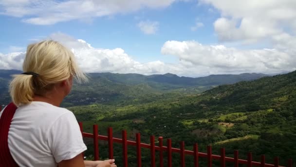 Woman looking at landscape — Stock Video