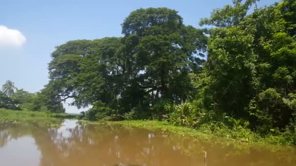Kreuzfahrt auf dem Nicaraguasee — Stockvideo