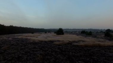 Hollandalı peyzaj üzerinde uçmak 