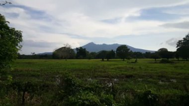 Volcan Mombacho Granada, Nikaragua