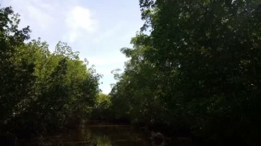 Juan Venado Adası doğa rezerv