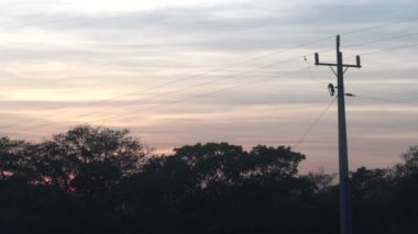 Pantanal, gündoğumu, manzara görüntüleri