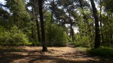 National Park in Nijverdal