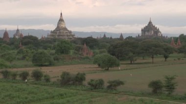 yolda yürüyen adam