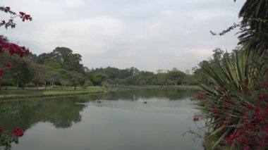 Sao Paulo, Ibirapuera park skyline