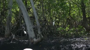 Juan Venado Adası doğa rezerv