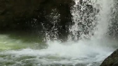 Selva Negra jungle şelale 