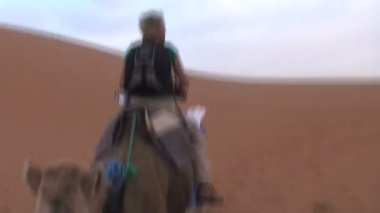 Sahara deveye binmek 