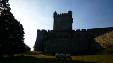 Koyunları Bentheim kale içinde