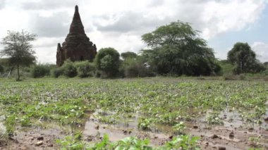 Pagodadan Bagan, Myanmar