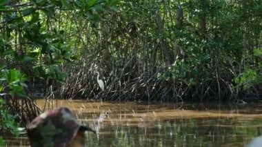 Juan Venado Adası doğa rezerv