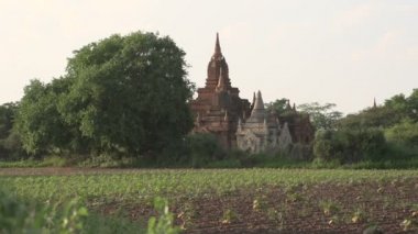 tapınakta bagan, myanmar