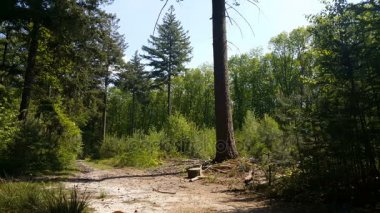 National Park in Nijverdal
