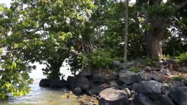 Maymun Adası'nda Nikaragua Gölü