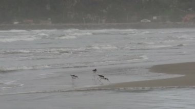 Laguna, Göl Manzaralı