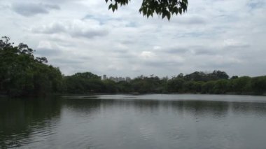 Sao Paulo, Ibirapuera park skyline