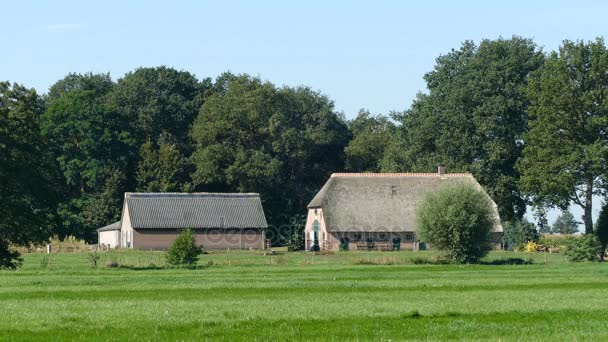 Nederlandse landschap met boerderij — Stockvideo