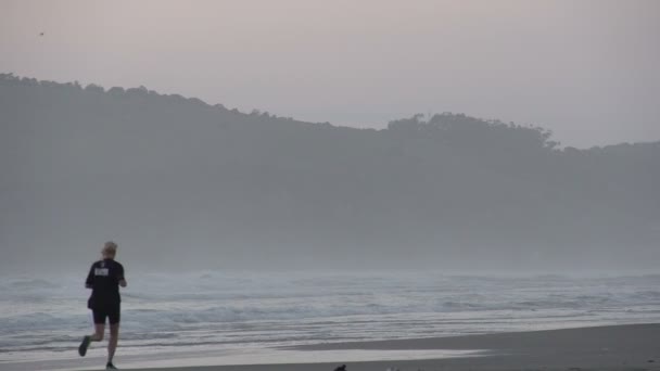 Laguna, alba in spiaggia — Video Stock