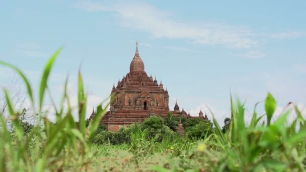 Chrám v bagan, myanmar — Stock video