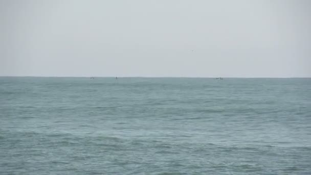 Лагуна, рыбаки стоят в воде — стоковое видео