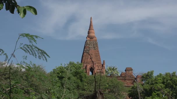 Pagoda w Bagan, Mjanma — Wideo stockowe