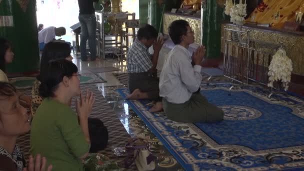 Les gens prient les statues de Bouddha — Video