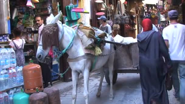 Αγορά Medina στο Μαρόκο — Αρχείο Βίντεο