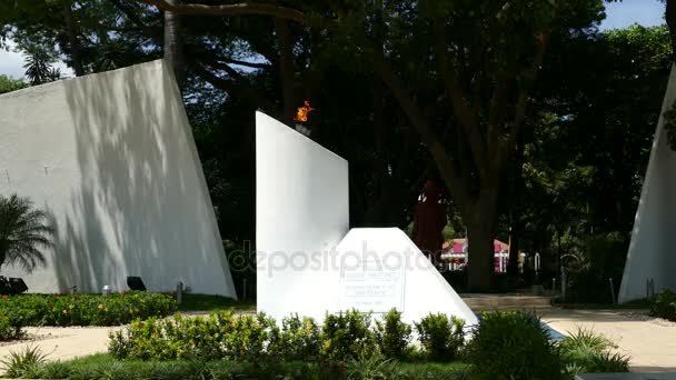 Monumento a la libertad en el parque central — Vídeos de Stock