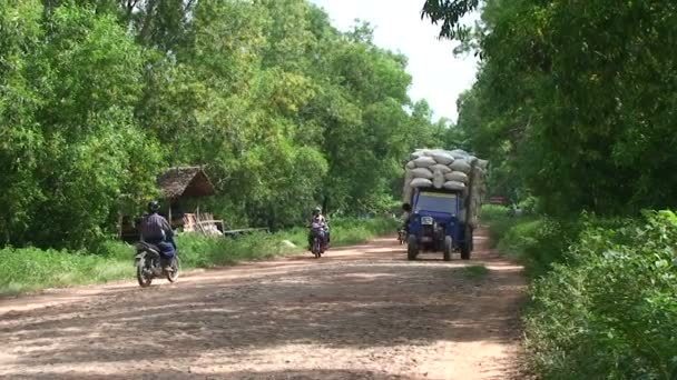 Местный транспорт рисовые мешки с грузовиком — стоковое видео