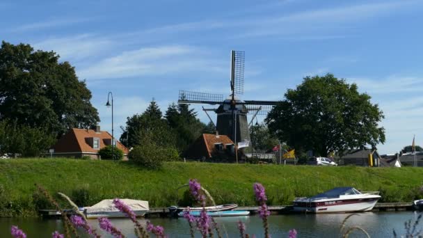 Windmill and houses on river bank — Stock Video