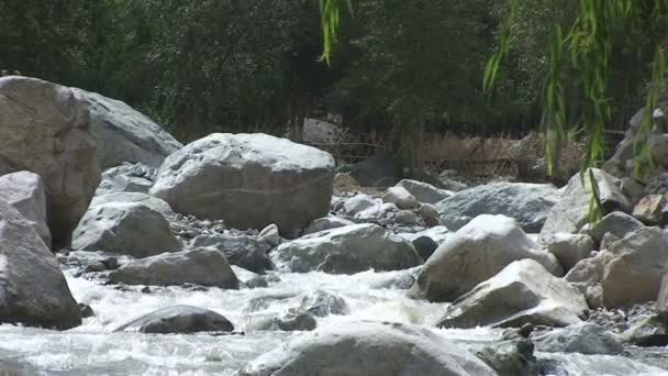 Floden Ourika — Stockvideo