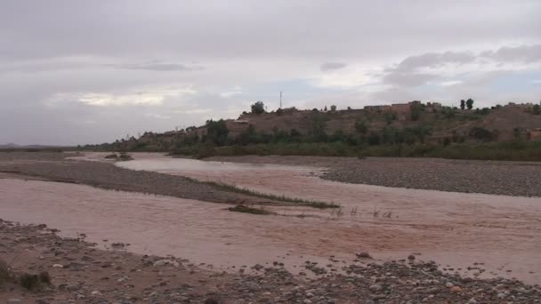 Rzeka, Ouarzazate, doliny Draa — Wideo stockowe