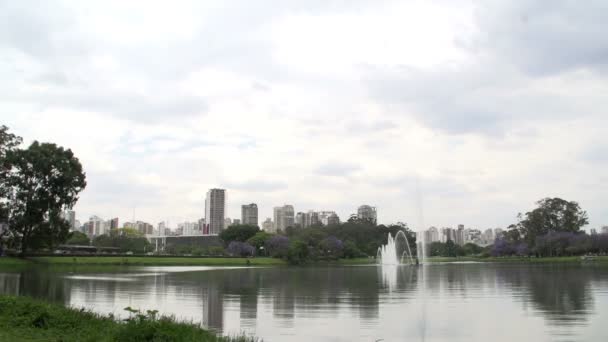 Waterfounta no parque de Ibirapuera — Vídeo de Stock