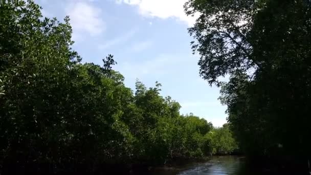 Reserva Natural Isla Juan Venado — Vídeo de stock