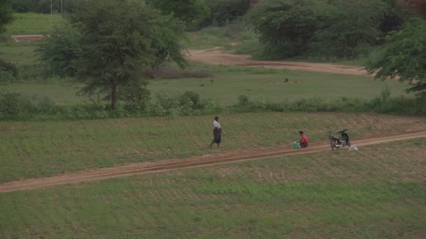 Hombre lanzando fertilizante — Vídeo de stock