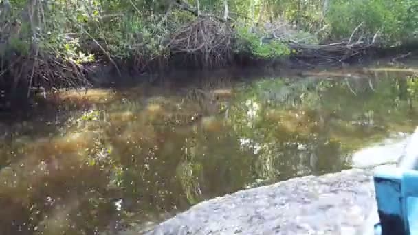 Reserva Natural Isla Juan Venado — Vídeos de Stock