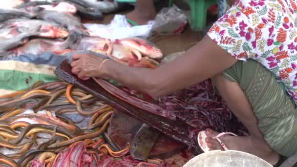 Asiatischer Wochenmarkt — Stockvideo