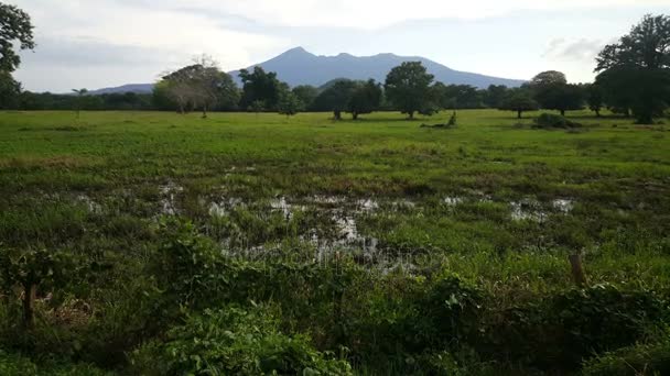 Volcan Mombacho Granada, Nikaragua — Stok video