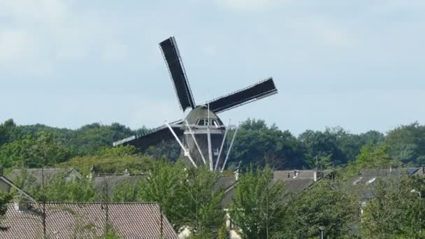 Dutch windmill in small city — Stock Video