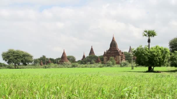 Temple in Bagan, Myanmar — Stock Video