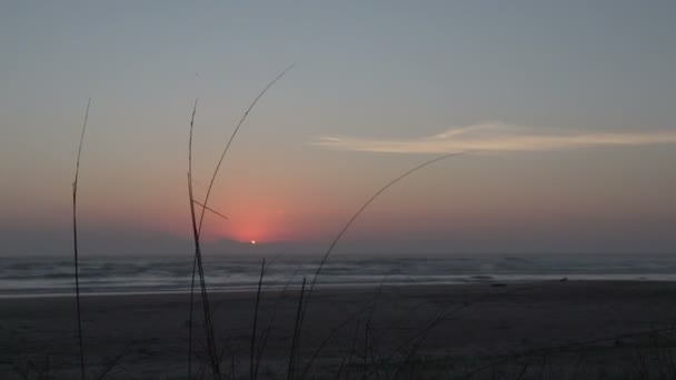 Laguna, alba in spiaggia — Video Stock