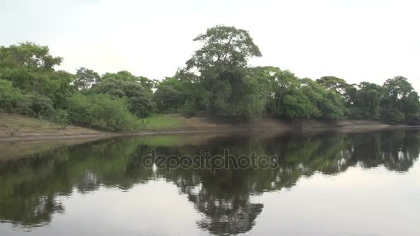 Pantanal, passeios de barco no rio — Vídeo de Stock