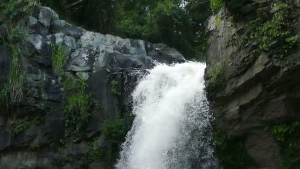 Cascada en la selva de Selva Negra — Vídeo de stock